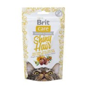 BRIT CAT SNACK FUNCTIONAL SHINY HAIR