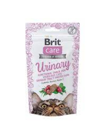 BRIT CAT SNACK FUNCTIONAL URINARY